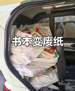 家里阳光不足怎么养花，选对植物种类，掌握养护技巧