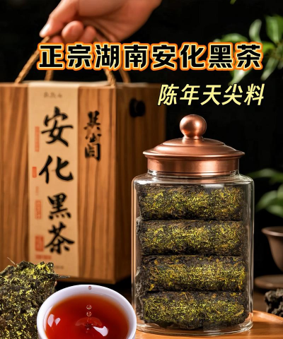 家里阳光不足怎么养花，选对植物种类，掌握养护技巧