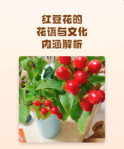 家里阳光不足怎么养花，选对植物种类，掌握养护技巧