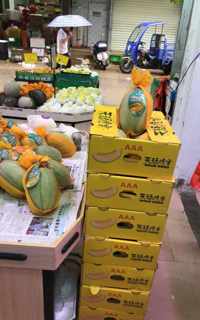 家里阳光不足怎么养花，选对植物种类，掌握养护技巧