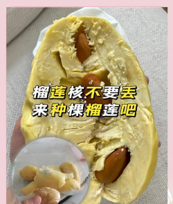 家里阳光不足怎么养花，选对植物种类，掌握养护技巧