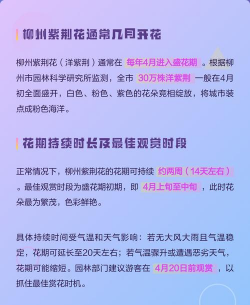 家里阳光不足怎么养花，选对植物种类，掌握养护技巧