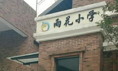 家里阳光不足怎么养花，选对植物种类，掌握养护技巧