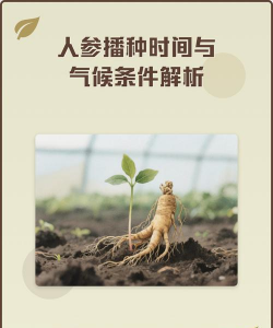 家里阳光不足怎么养花，选对植物种类，掌握养护技巧