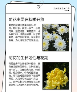 家里阳光不足怎么养花，选对植物种类，掌握养护技巧