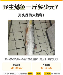 家里阳光不足怎么养花，选对植物种类，掌握养护技巧