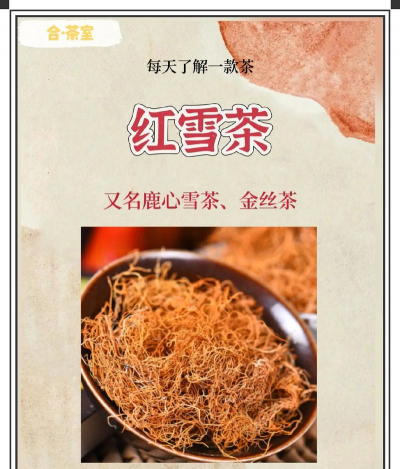 家里阳光不足怎么养花，选对植物种类，掌握养护技巧