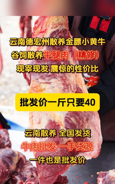 家里阳光不足怎么养花，选对植物种类，掌握养护技巧