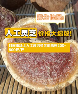 家里阳光不足怎么养花，选对植物种类，掌握养护技巧