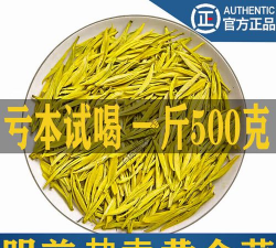 家里阳光不足怎么养花，选对植物种类，掌握养护技巧