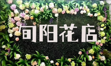 家里阳光不足怎么养花，选对植物种类，掌握养护技巧