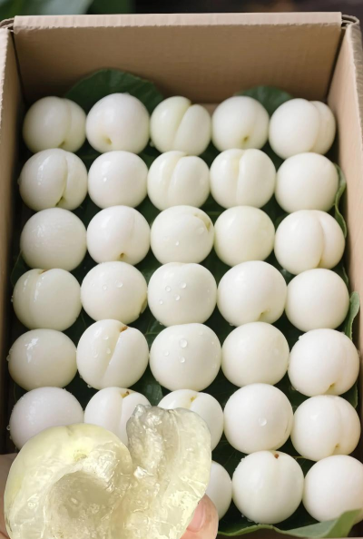 家里阳光不足怎么养花，选对植物种类，掌握养护技巧