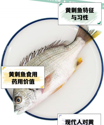 家里阳光不足怎么养花，选对植物种类，掌握养护技巧