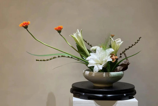 家里阳光不足怎么养花，选对植物种类，掌握养护技巧