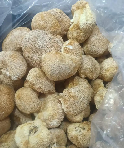 家里阳光不足怎么养花，选对植物种类，掌握养护技巧