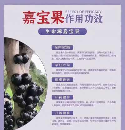 家里阳光不足怎么养花，选对植物种类，掌握养护技巧
