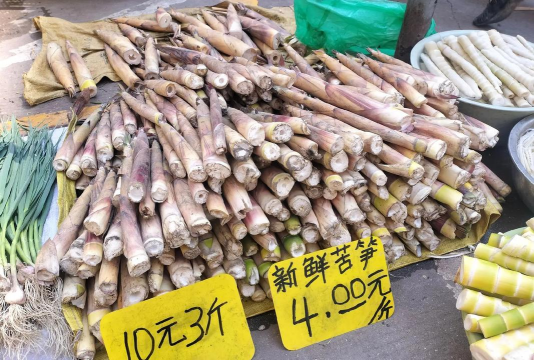 家里阳光不足怎么养花，选对植物种类，掌握养护技巧