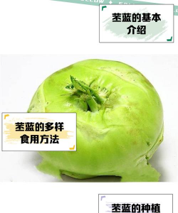 家里阳光不足怎么养花，选对植物种类，掌握养护技巧