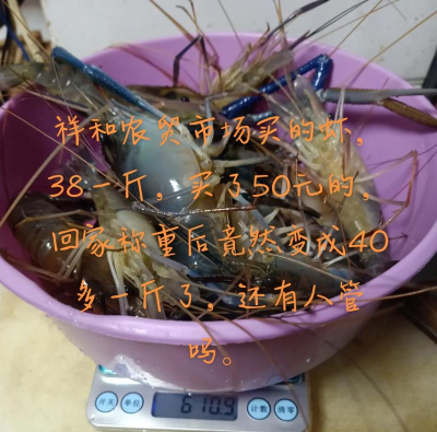 家里阳光不足怎么养花，选对植物种类，掌握养护技巧