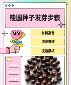 家里阳光不足怎么养花，选对植物种类，掌握养护技巧