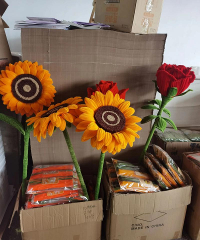 家里阳光不足怎么养花，选对植物种类，掌握养护技巧