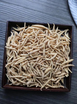 家里阳光不足怎么养花，选对植物种类，掌握养护技巧