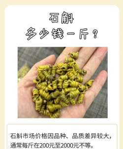 家里阳光不足怎么养花，选对植物种类，掌握养护技巧