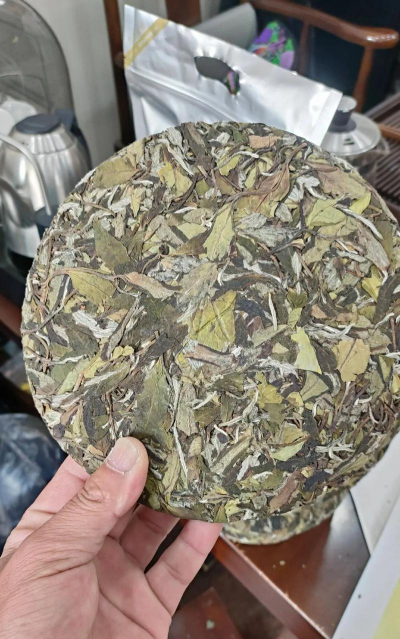 家里阳光不足怎么养花，选对植物种类，掌握养护技巧