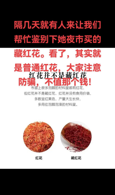 家里阳光不足怎么养花，选对植物种类，掌握养护技巧