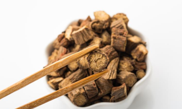 家里阳光不足怎么养花，选对植物种类，掌握养护技巧