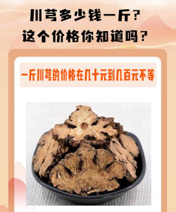 家里阳光不足怎么养花，选对植物种类，掌握养护技巧