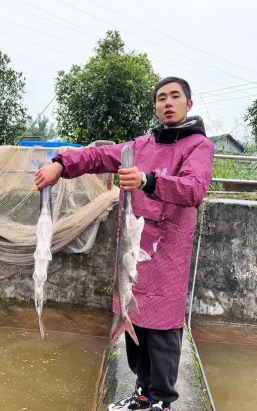 家里阳光不足怎么养花，选对植物种类，掌握养护技巧