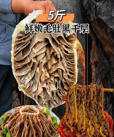 家里阳光不足怎么养花，选对植物种类，掌握养护技巧