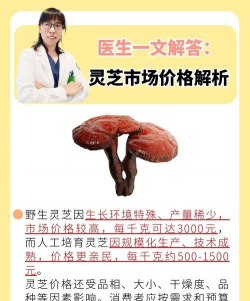 家里阳光不足怎么养花，选对植物种类，掌握养护技巧