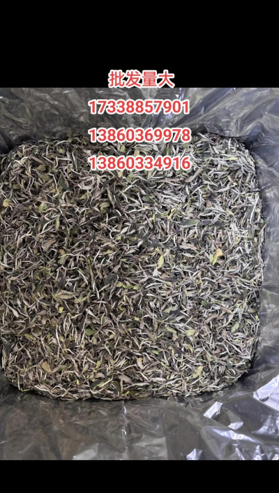 家里阳光不足怎么养花，选对植物种类，掌握养护技巧