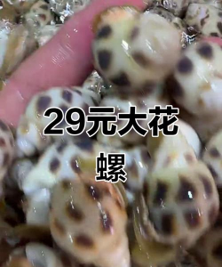 家里阳光不足怎么养花，选对植物种类，掌握养护技巧