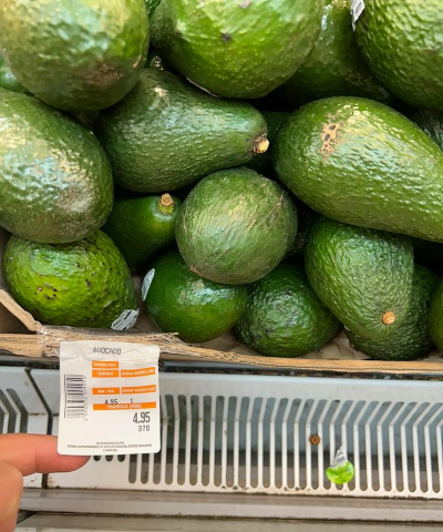 家里阳光不足怎么养花，选对植物种类，掌握养护技巧