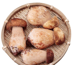 家里阳光不足怎么养花，选对植物种类，掌握养护技巧