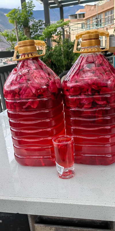 家里阳光不足怎么养花，选对植物种类，掌握养护技巧