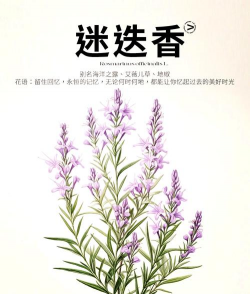 小众送妈妈的花有哪些花