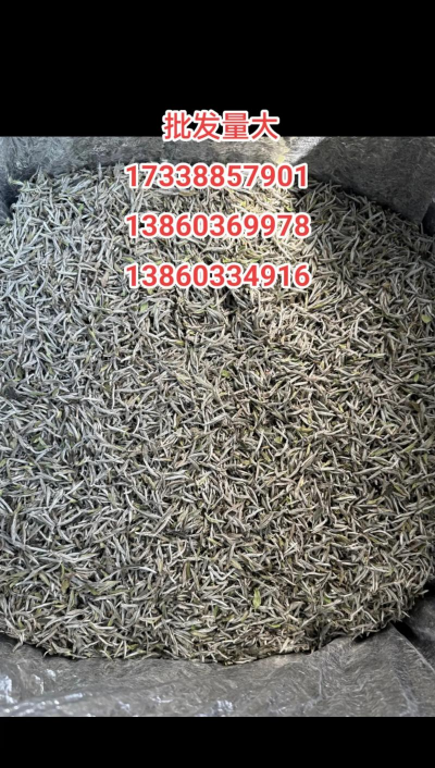 家里阳光不足怎么养花，选对植物种类，掌握养护技巧