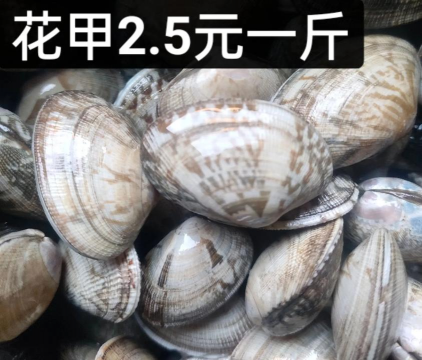 家里阳光不足怎么养花，选对植物种类，掌握养护技巧