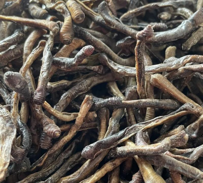 家里阳光不足怎么养花，选对植物种类，掌握养护技巧