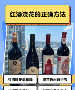 家里阳光不足怎么养花，选对植物种类，掌握养护技巧