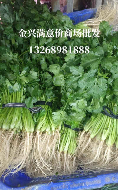 家里阳光不足怎么养花，选对植物种类，掌握养护技巧