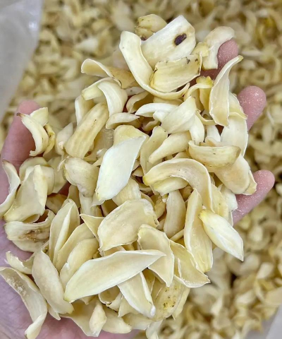 家里阳光不足怎么养花，选对植物种类，掌握养护技巧