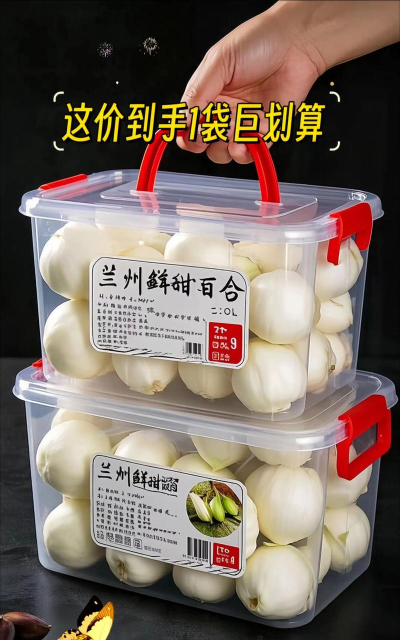 家里阳光不足怎么养花，选对植物种类，掌握养护技巧