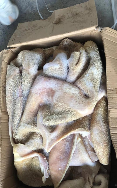 家里阳光不足怎么养花，选对植物种类，掌握养护技巧