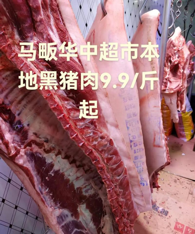 家里阳光不足怎么养花，选对植物种类，掌握养护技巧