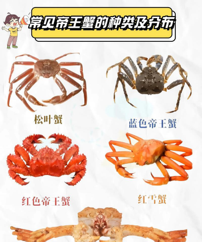 家里阳光不足怎么养花，选对植物种类，掌握养护技巧